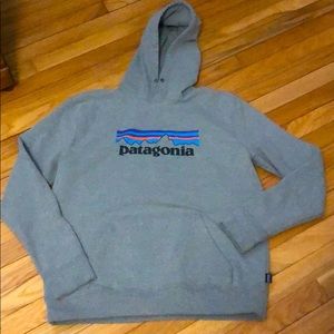 Patagonia logo hoodie